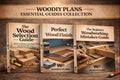 Essential Guides Collection
